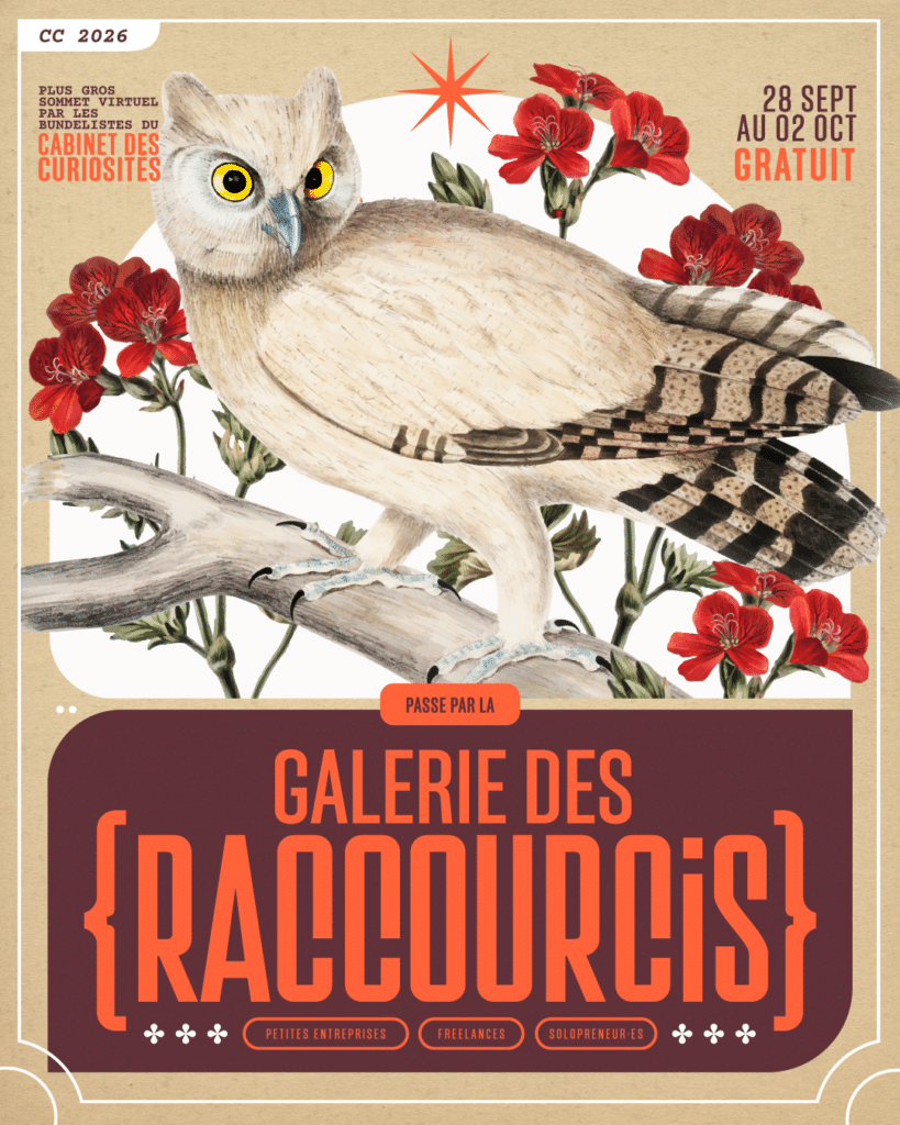Présentation Alexe Martel Bundle Cabinet des Curiosités Galerie des Raccourcis